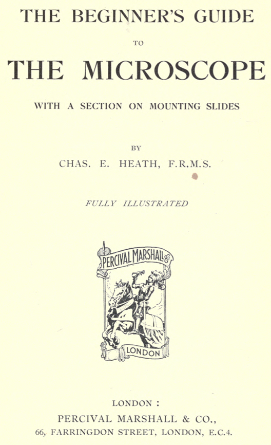 A book cover with text and a picture
Description automatically generated