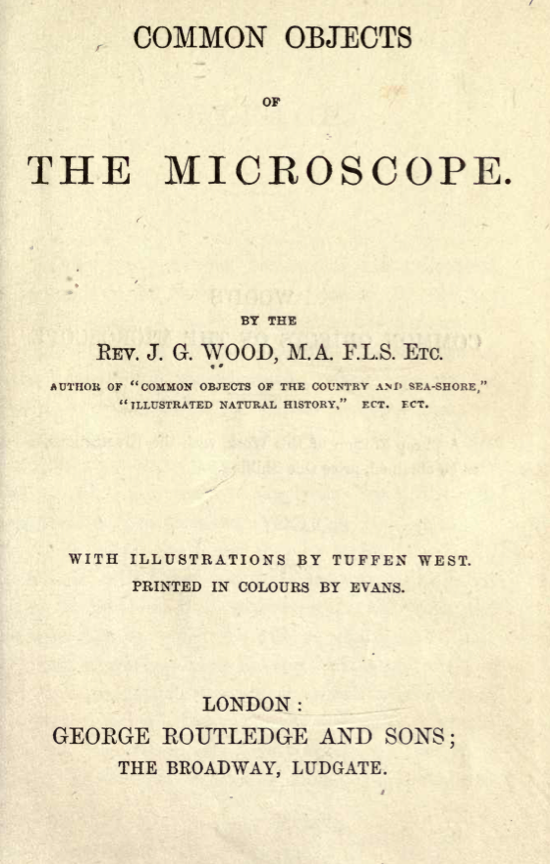 A book cover with text
Description automatically generated