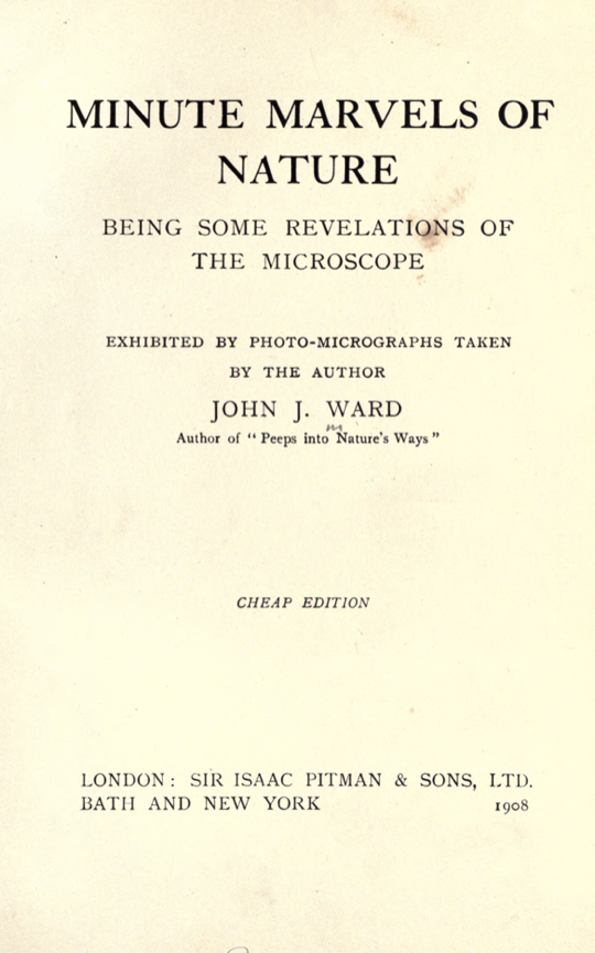 A book cover with text
Description automatically generated