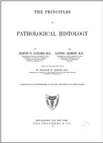 A close-up of a book
Description automatically generated