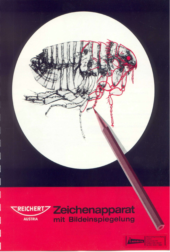 A book cover with a drawing of a bug
Description automatically generated