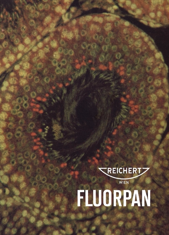 Close-up of a plant with a black hole
Description automatically generated with medium confidence