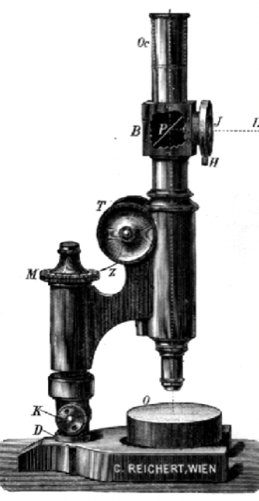 A picture containing old
Description automatically generated