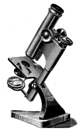 A close-up of an object
Description automatically generated with medium confidence