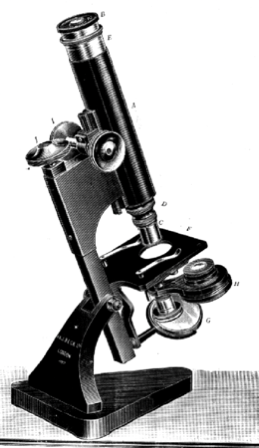 A close-up of an object
Description automatically generated with medium confidence