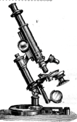 A close-up of a microscope
Description automatically generated with medium confidence