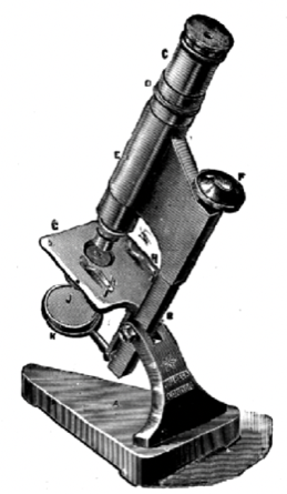 A close-up of an object
Description automatically generated with medium confidence