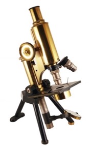 A picture containing object
Description automatically generated