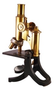 A picture containing table, black, sitting, small
Description automatically generated