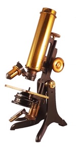 A picture containing table
Description automatically generated