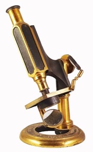 A picture containing table
Description automatically generated