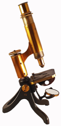 A picture containing indoor
Description automatically generated